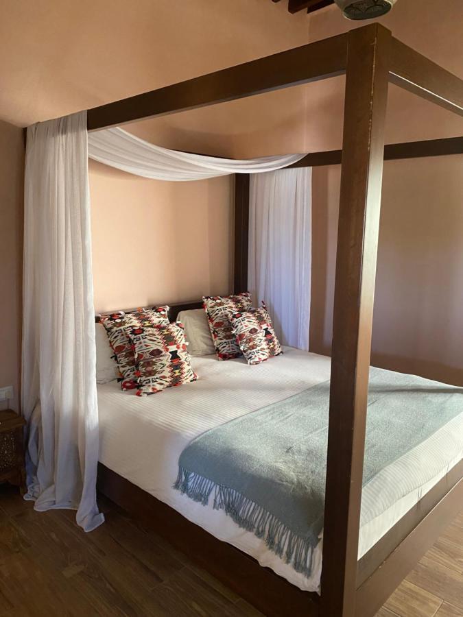 ツール Dar Camelia Bed & Breakfast エクステリア 写真
